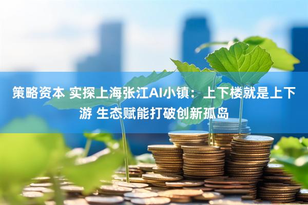 策略资本 实探上海张江AI小镇:上下楼就是上下游 生态赋能打破创新孤岛
