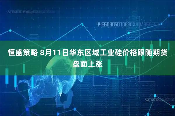 恒盛策略 8月11日华东区域工业硅价格跟随期货盘面上涨