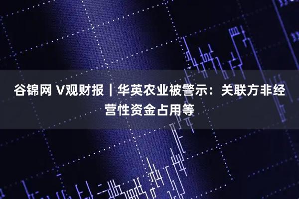 谷锦网 V观财报｜华英农业被警示：关联方非经营性资金占用等