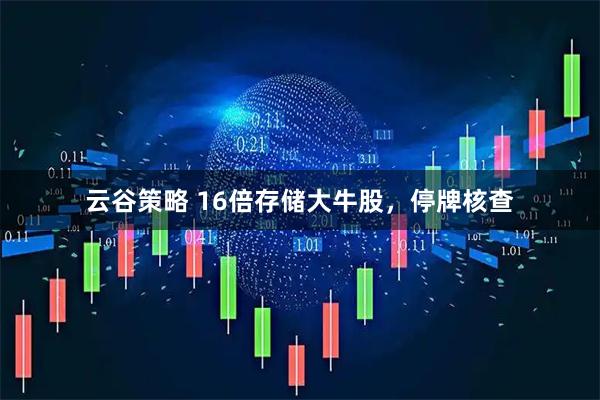 云谷策略 16倍存储大牛股，停牌核查
