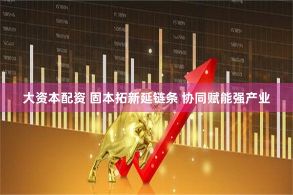 大资本配资 固本拓新延链条 协同赋能强产业