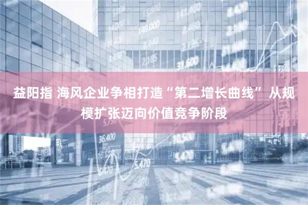 益阳指 海风企业争相打造“第二增长曲线” 从规模扩张迈向价值竞争阶段
